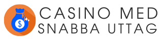 casinomedsnabbauttag.io logo